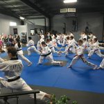 Traditional Korean Martial Arts Program