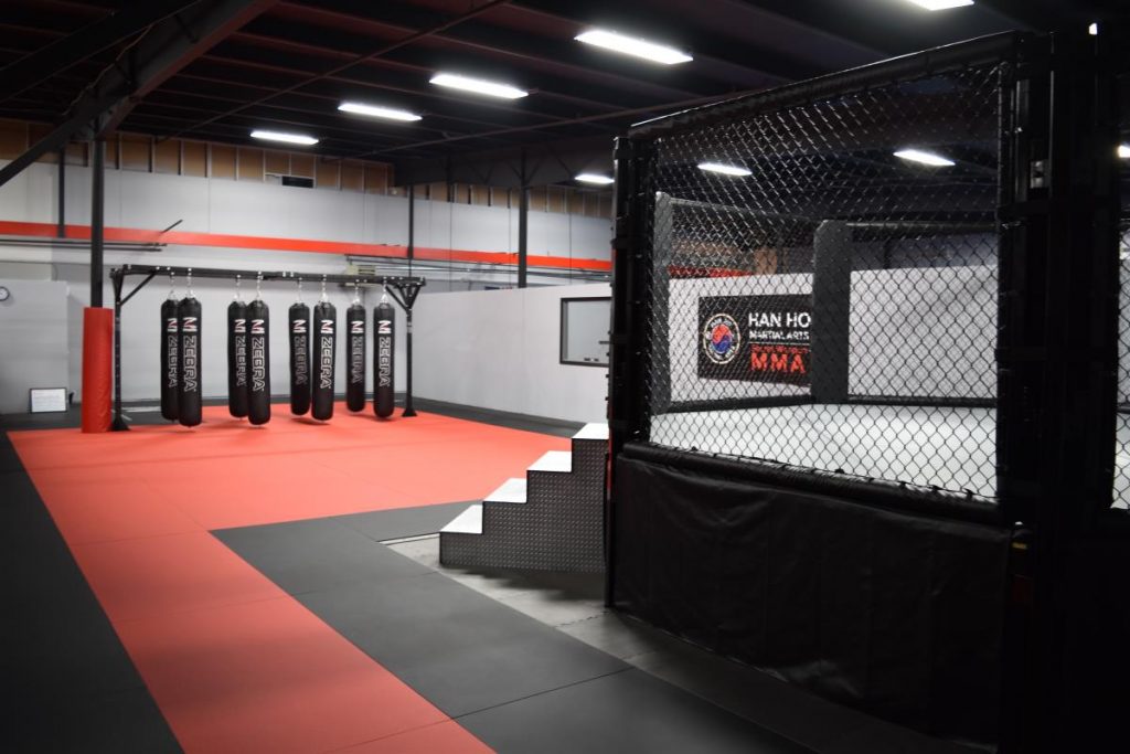 Han Ho Martial Arts Secret Weapon MMA Martial Arts Program